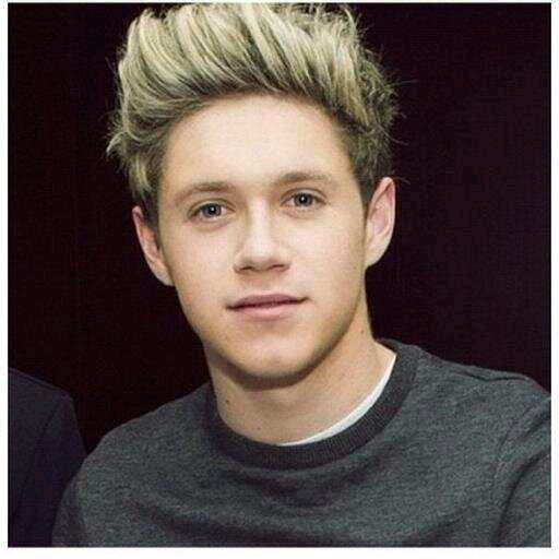 I am james niall twine bro me rp1 with louis I love him rp2 with liam I love him a lot  shy I love food music movies rp bi mrp
