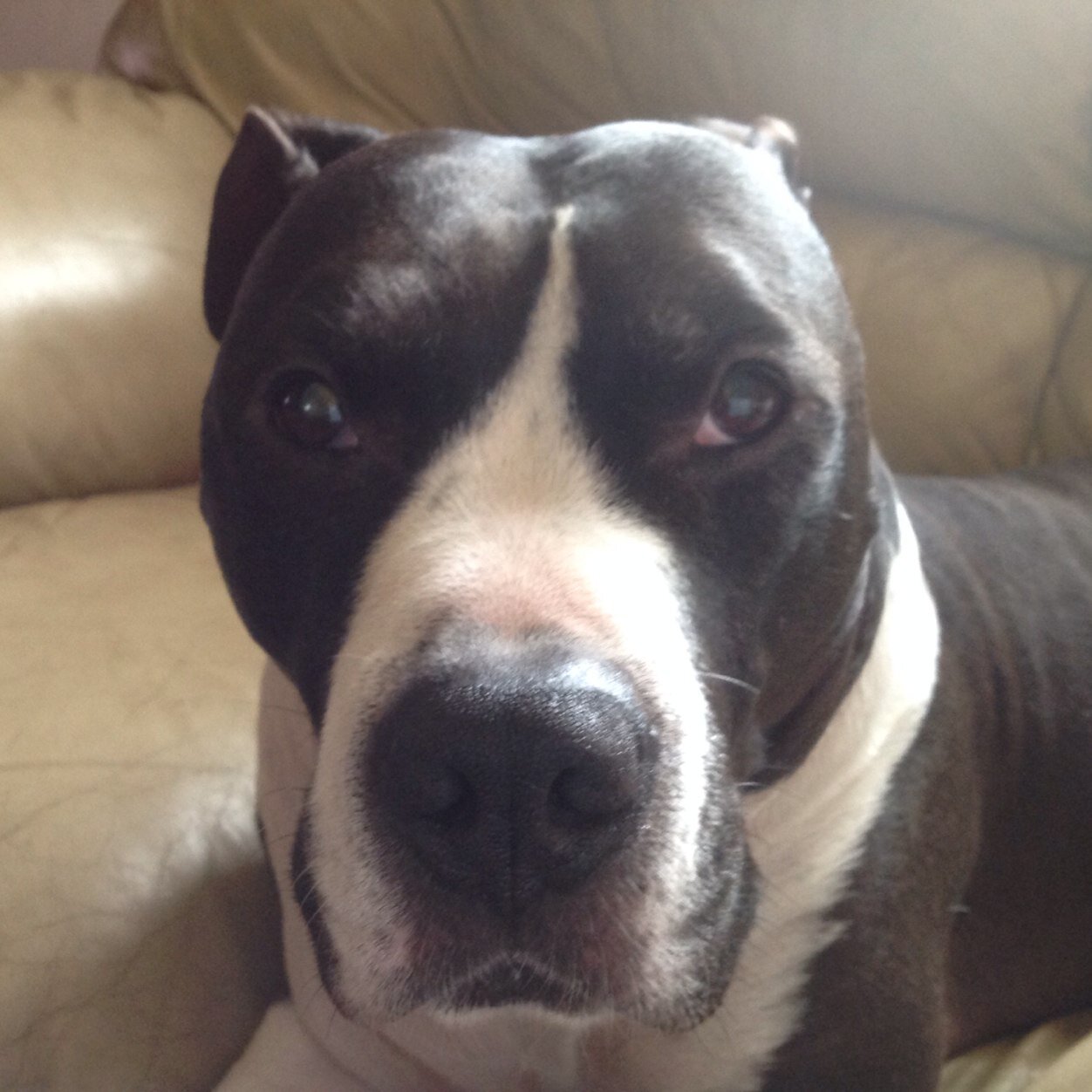 SprinterTruen0's profile picture. 