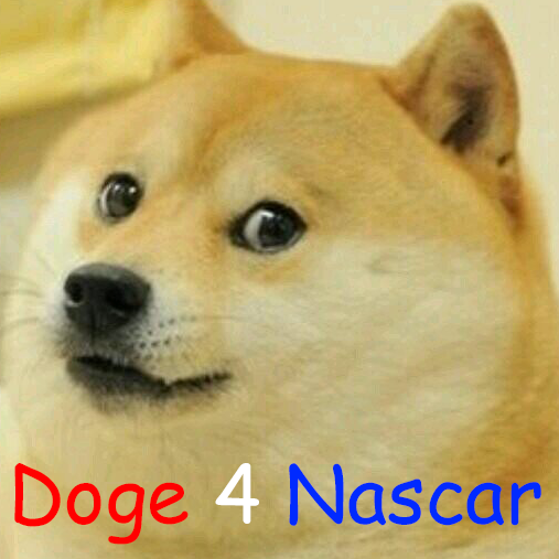 Doge4Nascar's profile picture. The official twitter of Doge4Nascar.  Every little bit helps!  Donate here: DDB1C6V6A7BGuYrP9GmRKrA3mDbLiFB2aR