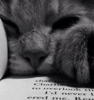 sauldlr_91's profile picture. A veces una promesa es la mentira más grande