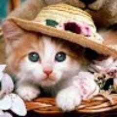 amHarfin's profile picture. 