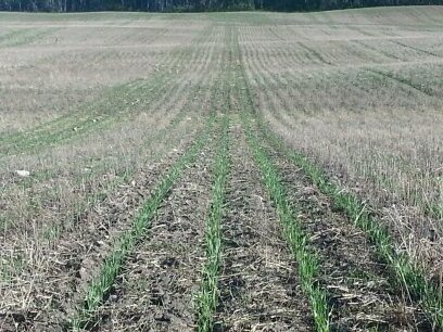Se sask grain farmer