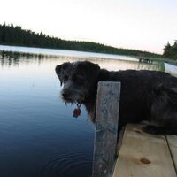 Margot Brown (@maggieb1961) 's Twitter Profile