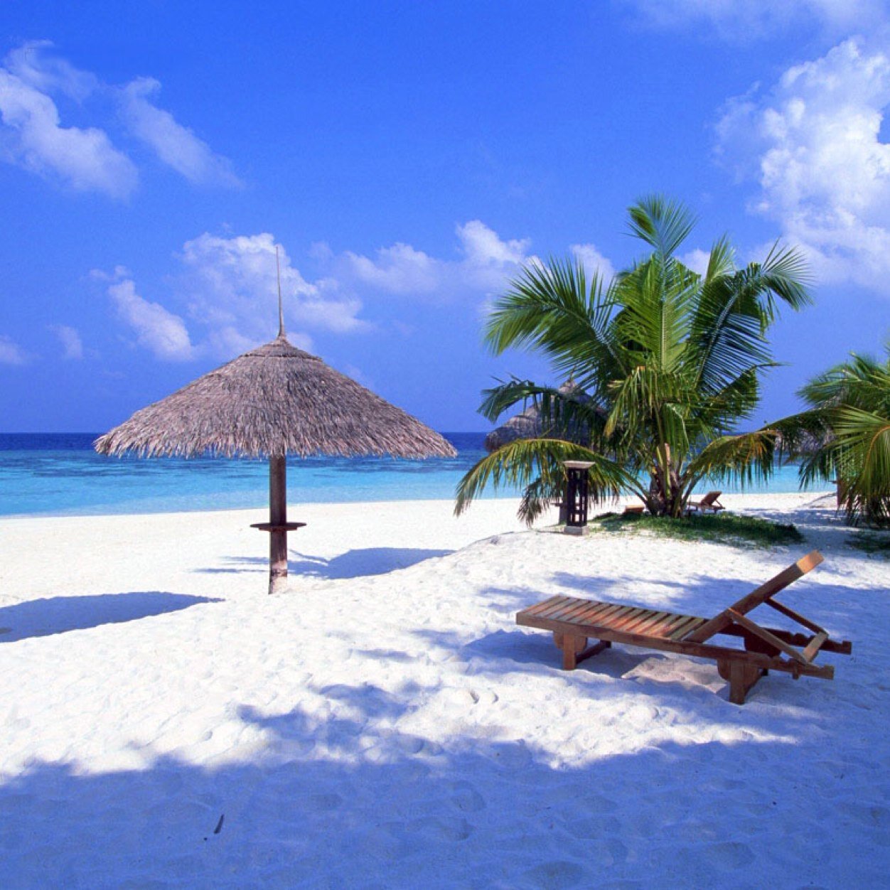 bssforex's profile picture. 