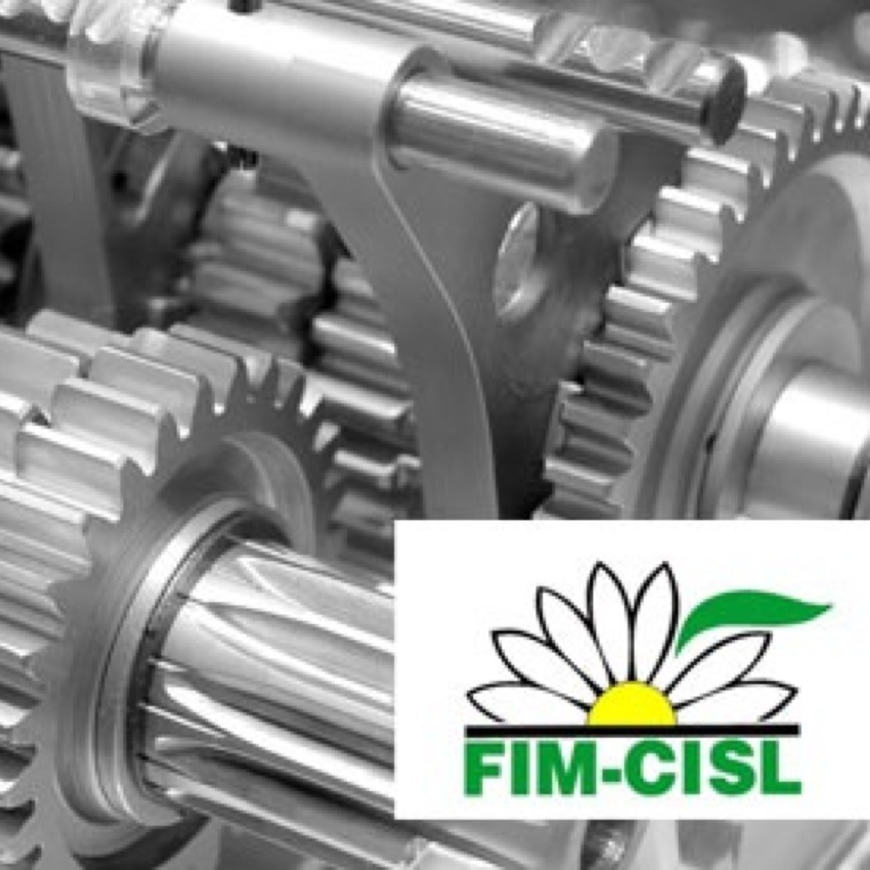 fim_venbt's profile picture. Federazione italiana metalmeccanici Cisl Italian Metalworkers trade union