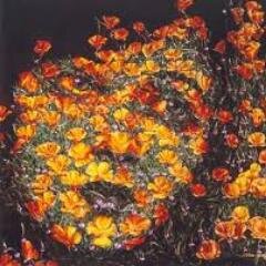 anna_flors's profile picture. 