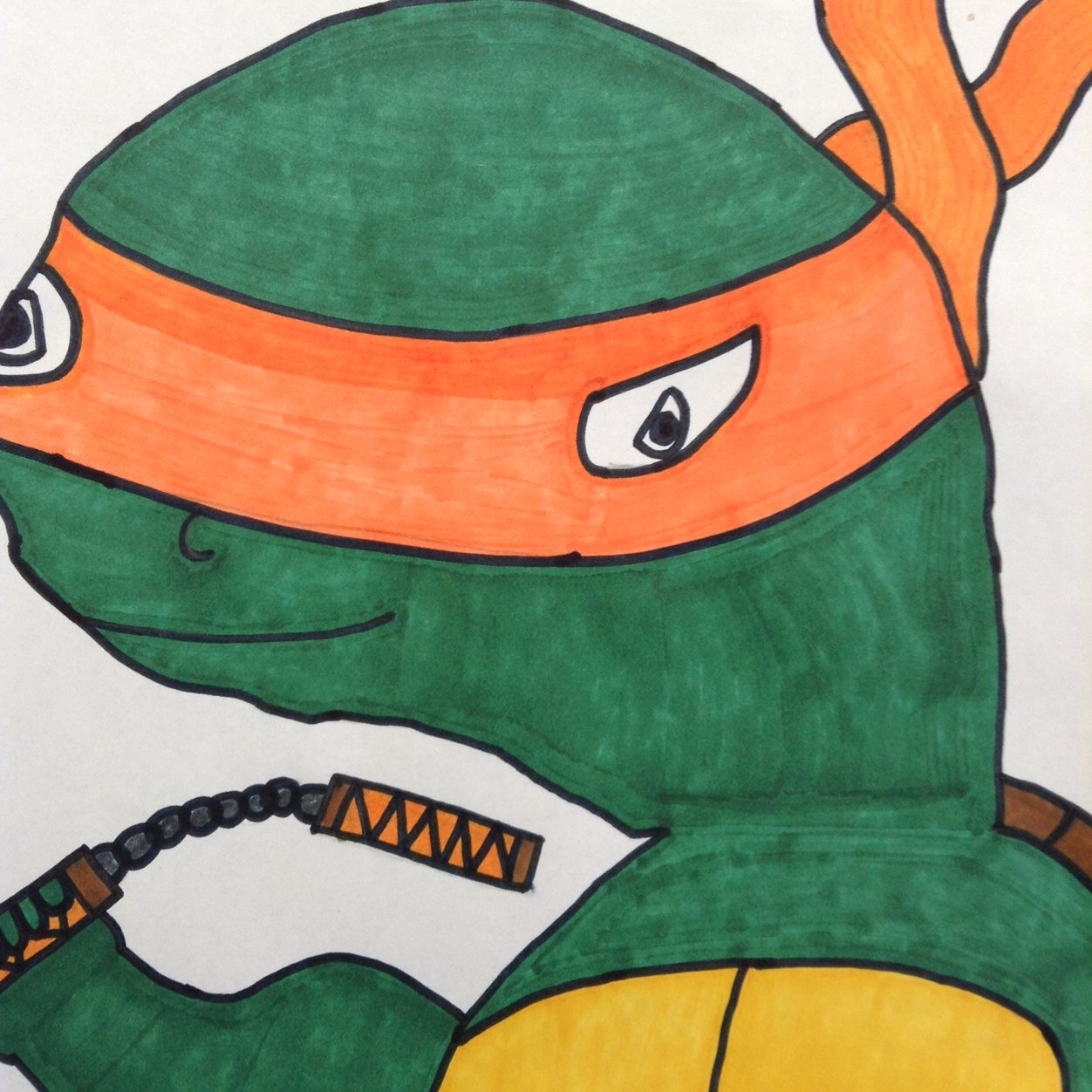 *Not Affiliated With The Teenage Mutant Ninja Turtles*. in mi spare tyme i luv 2 ete petza.