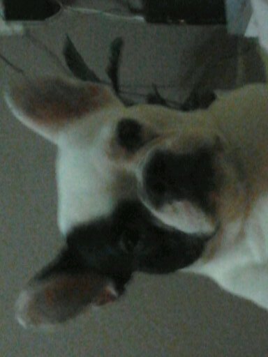 ujpesi1975's profile picture. 