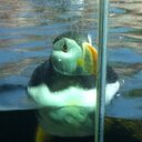 Chris Capron - @CapronCriscap47 - Twitter