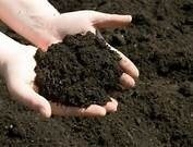 Permaculture Organic