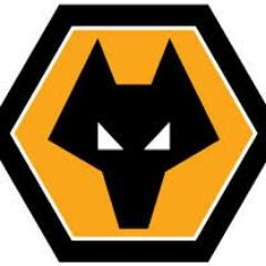 wolverhampton wanderers news and gossip page. including all the latest team news and photos from the days games.
