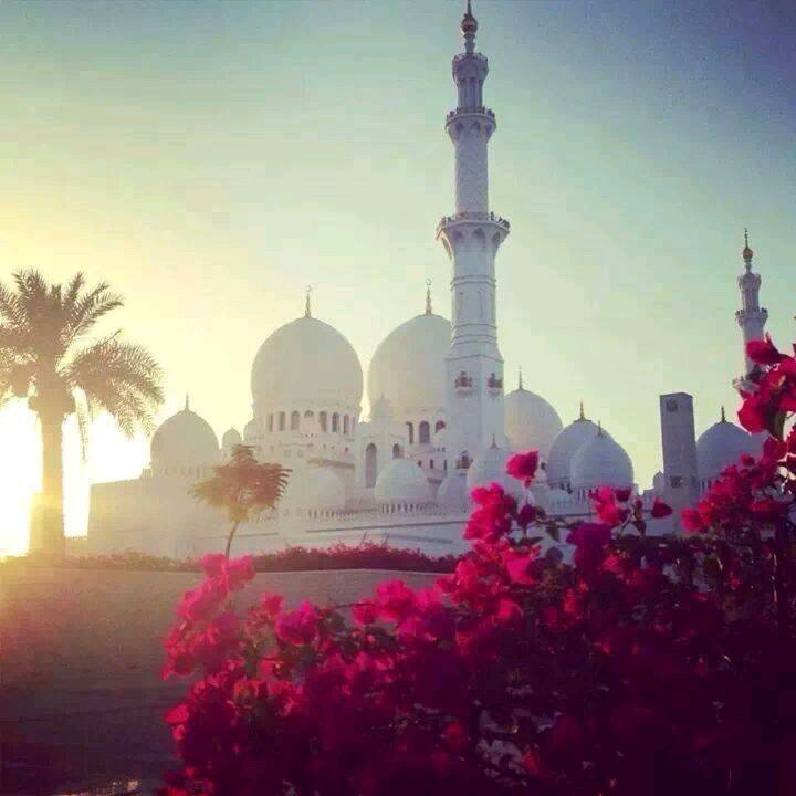 N'est ce point par l'évoquation d'Allah que les coeurs s'apaisent ? Sourate 13, Verset 23 ✌
