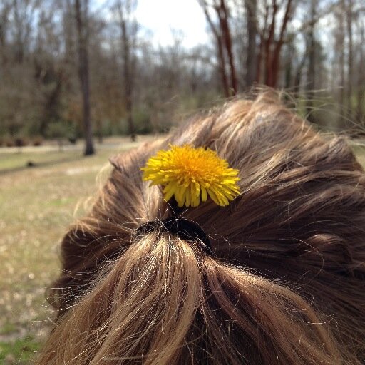 caitydid812's profile picture. A misplaced Hogwarts professor living in a Muggle world. You can call me Green Beans.