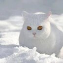 abed (@0599635378) Twitter