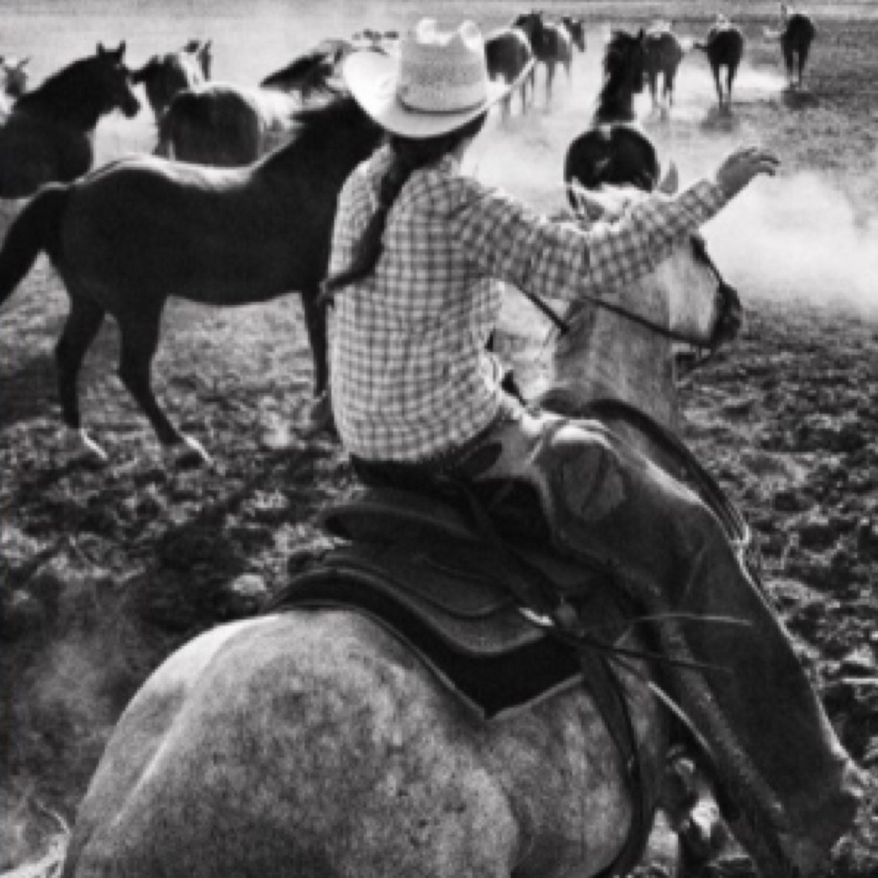 lonestar_loveee's profile picture. 