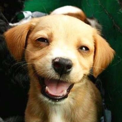 Your source of daily happy news  #TeamFollowBack I'LL FOLLOW YOU BACK