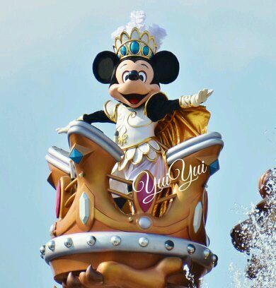 MickeyMouse崇拝、永遠にミシカ愛。/MARVEL/Nikon/キャラグリはiPhone13Pro/愛犬Mシュナウザー(2006年3.27.18歳♀🌈、2009年13歳♀🌈、2022年2.22.3歳♀、2025.2.22.6ヶ月）