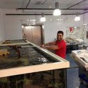 Toni Neumann - @toni_ne - Twitter