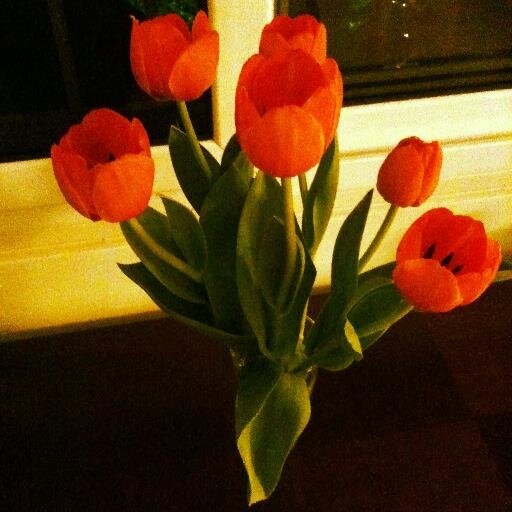 luzymoreno's profile picture. 