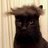 ecolungasegura's profile image