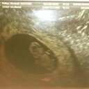 Elisabeth Phillips - @ElisabethPhil15 - Twitter