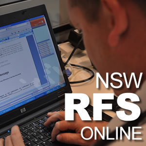 RFS Online team Profile