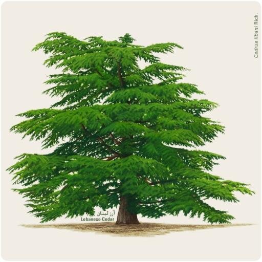 mimo12345's profile picture. In-Spirit