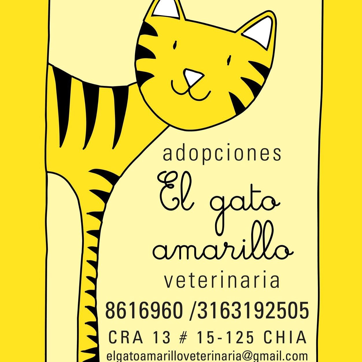 Bienvenidos a la 
Clínica Veterinaria el Gato Amarillo.
Urgencias 24/7