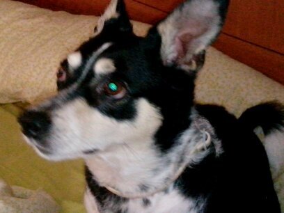 montejano_eva's profile picture. 