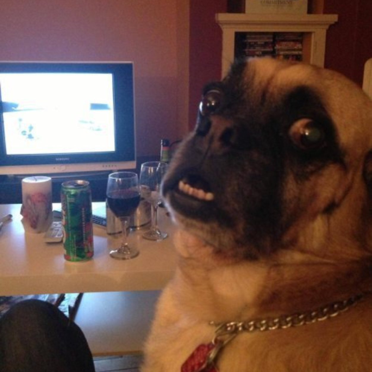 Scott09011959's profile picture. 