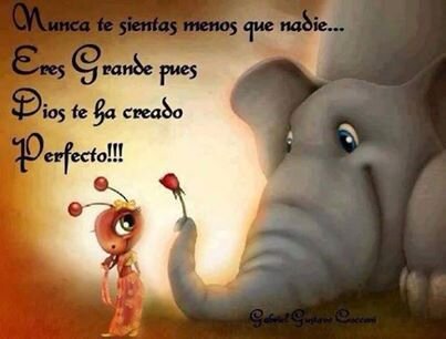 afjaslfjs's profile picture. 