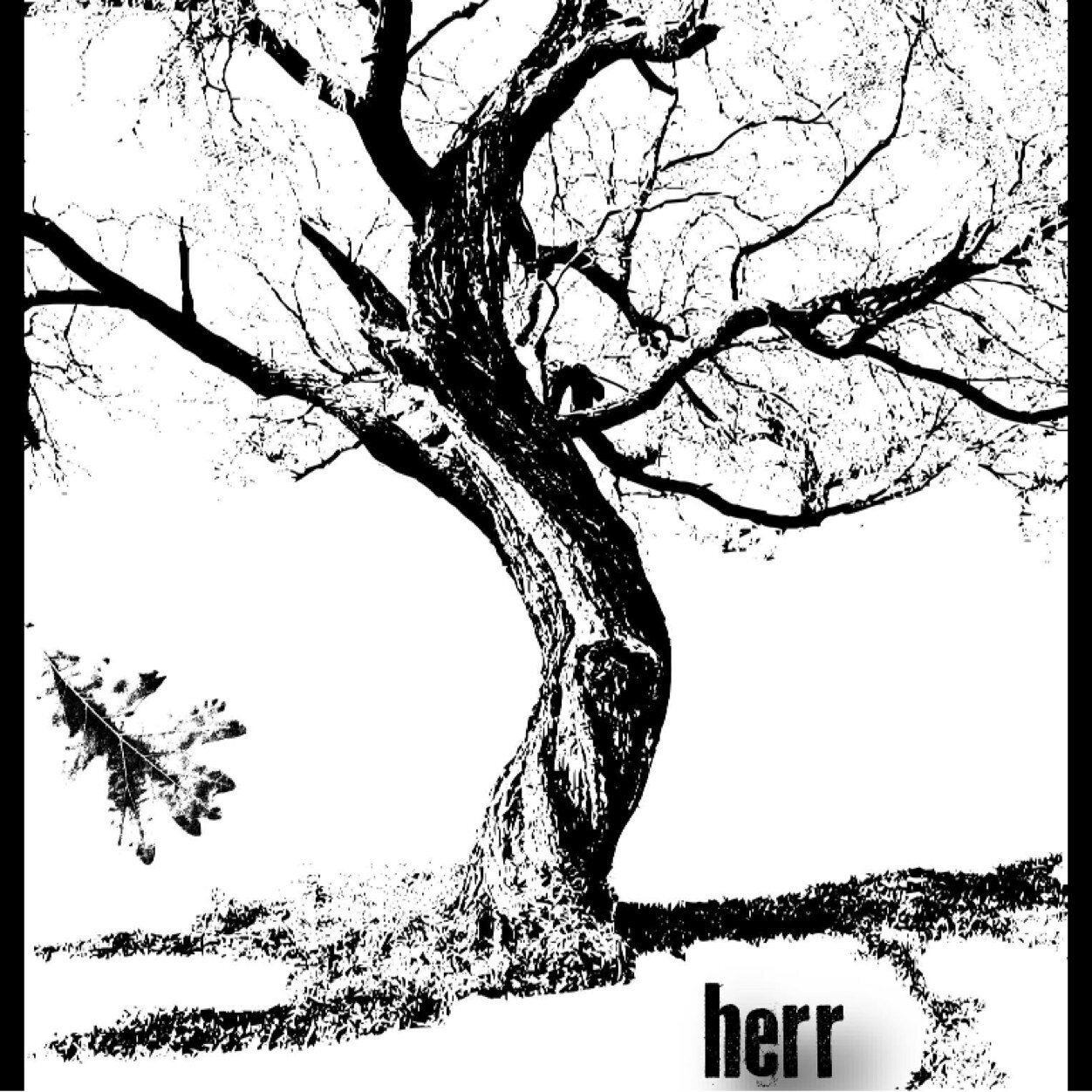 dmartine99's profile picture. 