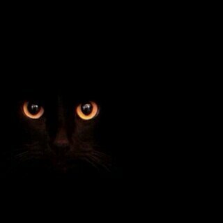 _JEVARA_'s profile picture. ..