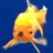 mrockrulez's profile image
