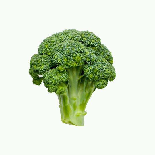 schagaleazurite's profile picture. 自由が俺を呼んでいどゅふｗｗｗ