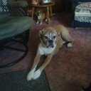 Pat Tripp - @03Pattripp - Twitter