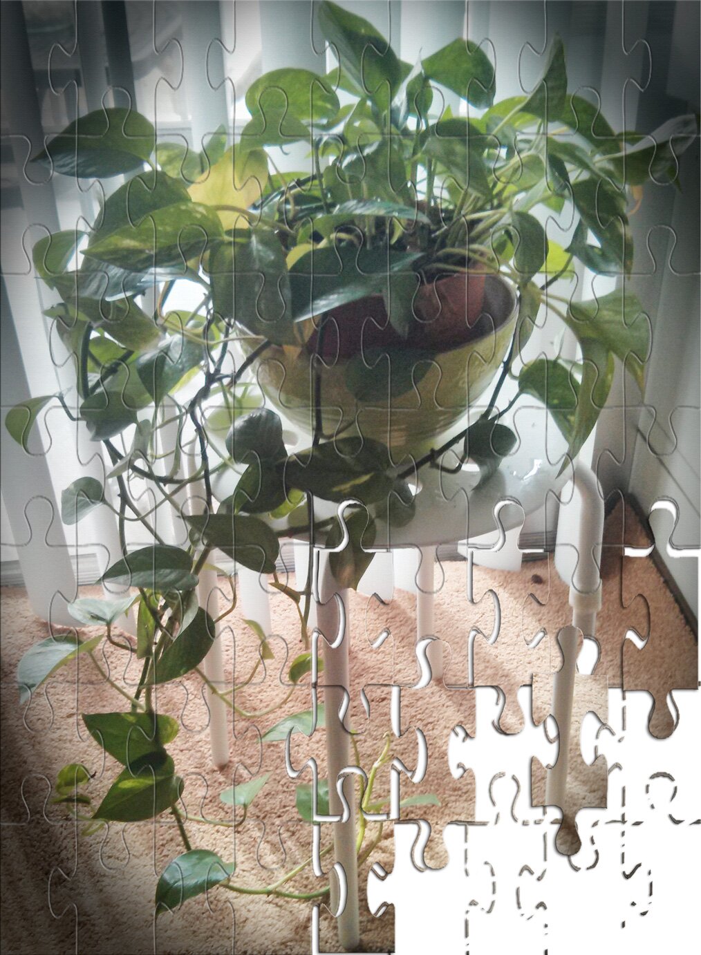 MoneyPlantTrack's profile picture. Follow me, to keep an eye out on how i am doing !! My live feed is at https://t.co/l4b4mgUHKi