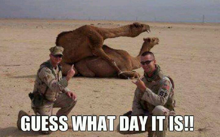 HUMP DAY