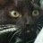 Profile Picture of Allan Cambell Hogg (@@643a007d700e4cd) on Twitter
