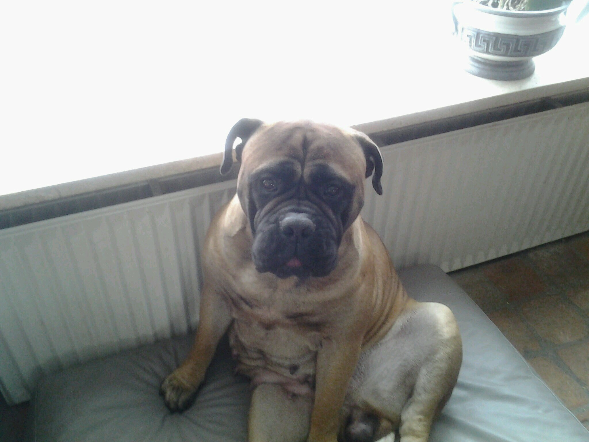 WilfredGroenev1's profile picture. 