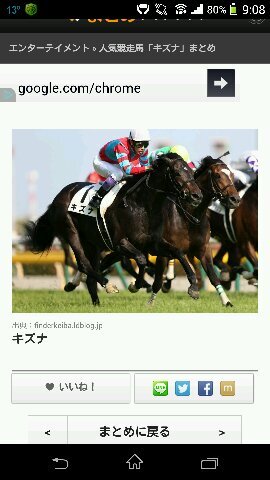 競馬が大好きです。まだまだ初心者ですがよろしくお願いします。
無言フォロー失礼します。