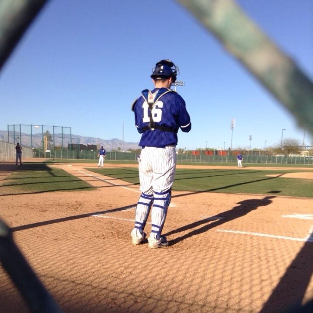 The sound of a wood bat hitting a baseball is the heartbeat of America.
