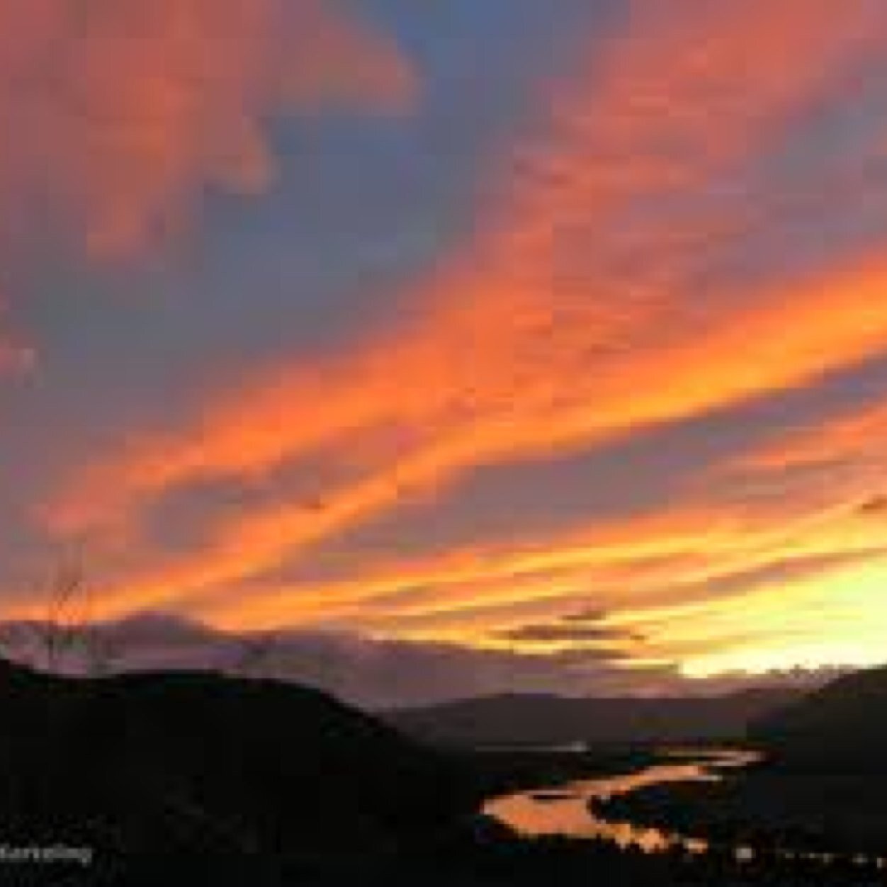 PoluxElPatagon's profile picture. 