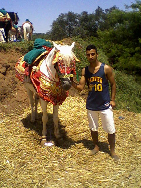 zikza3's profile picture. je suis un jeune garçon agée de 25ans j'aime bien cette vie surtout ici au maroc