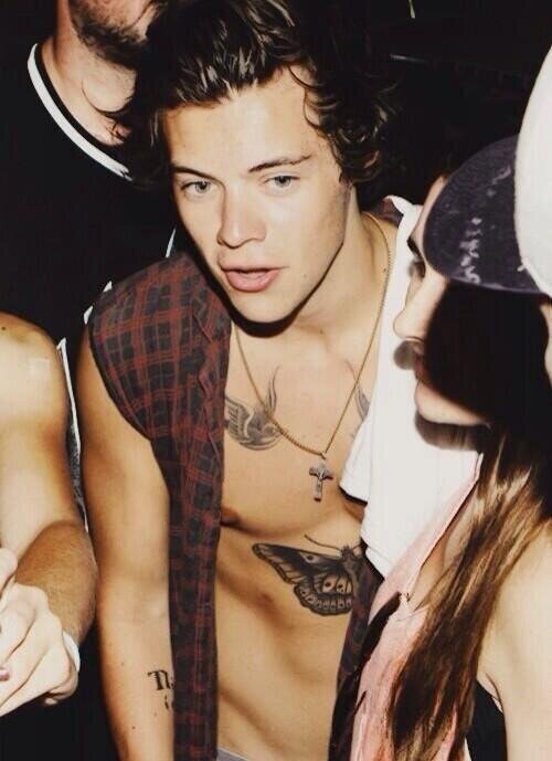 follow @pimpdaddyhxrry because free follow bbys