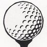 pinshotgolf's profile picture. A social platform for people who love golf and love the U.S.A.