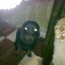 daniela constantin - @DanielaSp30 - Twitter