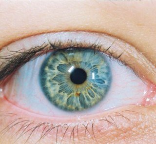 No two eyes are the same. They all are beautiful.
Show us your beautiful eyes, use our hashtag #EyesofEarth