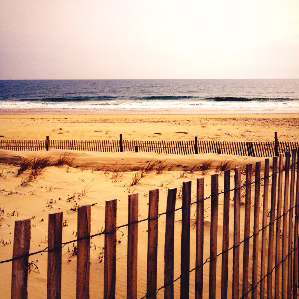 Quotes On Life, Love, & Many Bucket List Ideas...