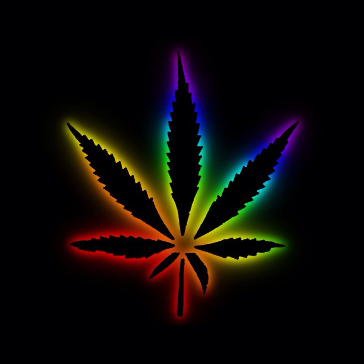If you like smoking weed, then follow me! I tweet funny pics, funny videos, weed pics and tweet about weed in general. STONER LIFE 4/20 LEGALIZE IT ALREADY.